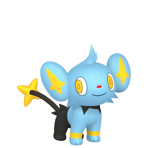 Shiny Shinx in Legends of Arceus