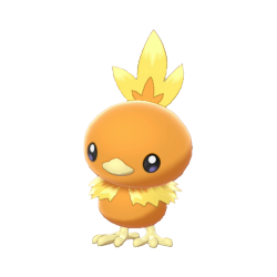 Buy Torchic in Brilliant Diamond & Shining Pearl