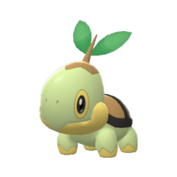 Buy Turtwig in Brilliant Diamond & Shining Pearl