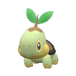 Buy Turtwig