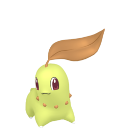 6IV Shiny Chikorita Indigo Disk Pokemon Scarlet and Violet