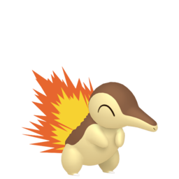 Shiny Cyndaquil - Pokestar