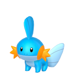 6IV Mudkip Indigo Disk Pokemon Scarlet and Violet