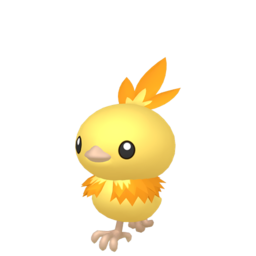 6IV Shiny Torchic Indigo Disk Pokemon Scarlet and Violet